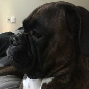 Meet your Posher, Adrianne